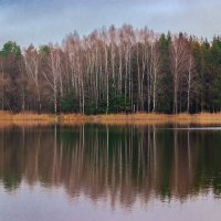 "Лесное озеро..." :: Сяргей Зайцаў (Lesavik)