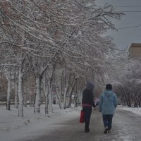 В ноябре. :: Михаил Полыгалов