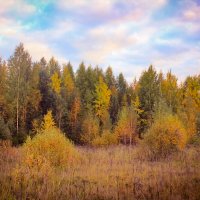 Осенний лес :: Сергей Кочнев