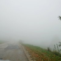 В туман :: SergAL 