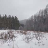 Снега ноября. :: Андрей Хлопонин