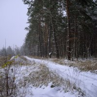Первый снег сезона 2022 :: Валерий VRN