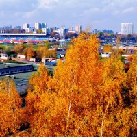 Осенний день в Битце, Москва :: ГЕНРИХ 