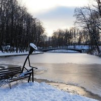 Городской сад за одну ночь стал зимним. :: Милешкин Владимир Алексеевич 