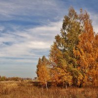 Осеннее настроение. :: Восковых Анна Васильевна 