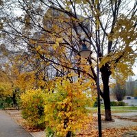 Осень в городе :: Нина Колгатина 