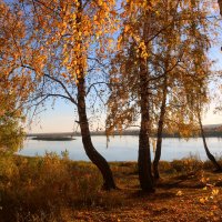Осенью на реке :: владимир тимошенко 