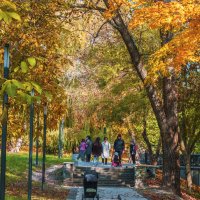 Осень золотая в  Гагаринском парке :: Валентин Семчишин