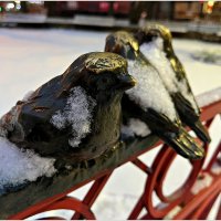 Замёрзшие воробушки. :: Валерия Комова
