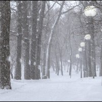 Снежный день :: Александр Тарноградский