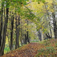 Уголок нетронутой природы :: Маргарита Батырева