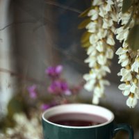 Весенний чай :: Яна Горбунова