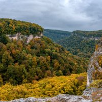 Ущелье Мишоко. Адыгея. Осень. :: Дина Евсеева