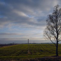 Последняя зелень на закате :: M Marikfoto