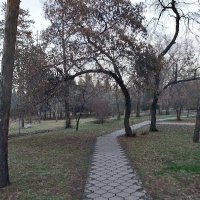 Almaty. :: Murat Bukaev 