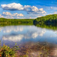 озеро,Бокситогорск :: Laryan1 
