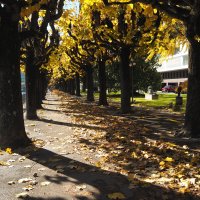 Золотая осень в Лугано Швейцария :: wea *