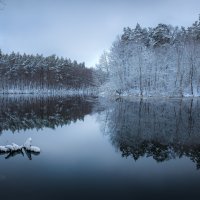 Зеркальная тишина первого снега :: Фёдор. Лашков