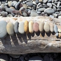 Почти идеально отсортированные камни анапского пляжа :: Сергей Воинков