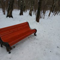 Красная скамейка в качестве красного пальто :-) :: Андрей Лукьянов