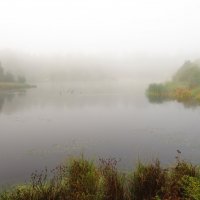 Озеро в туманной дымке :: Андрей Снегерёв