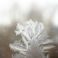 Пластиковое окно замерзло! :: Екатерина Маринина