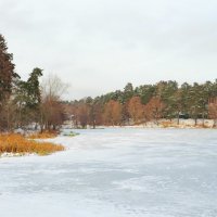 Замёрзшее озеро :: Андрей Снегерёв