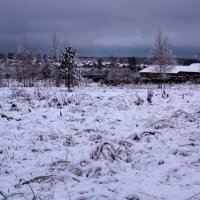 Снежный пейзаж :: Нэля Лысенко