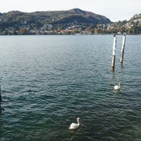 Пернатые озера Lago di Como Италия :: wea *