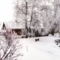 Первый день зимы :: Елена Строганова