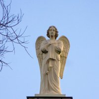 Ангел над фронтоном Мариинской больницы на Литейном проспекте :: Стальбаум Юрий 