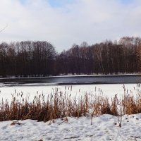 Зимнее озеро. :: tamara 