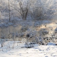 Утиная речка :: Александр Синдерёв