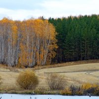 Переливы осени. :: Татьяна Перегудова 