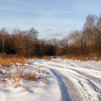 Смоленская зима. :: Милешкин Владимир Алексеевич 