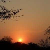 Осенний закат солнца в Индии. 2011 :: Gopal Braj