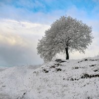 Апрельский снег :: Василий Колобзаров