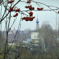 На ул . Рябиновой... :: Владимир Шошин