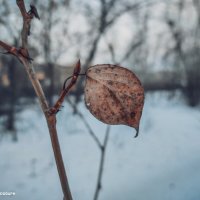 Одиночество :: Андрей Аксенов