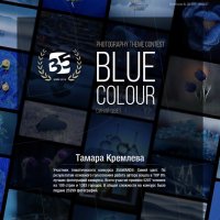 конкурс 35 Синий цвет :: tamara kremleva