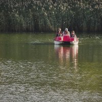 Спокойствие женщин в уверенности мужчины :: Сергей Царёв