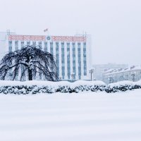Снежный декабрь. :: Игорь Чичиль