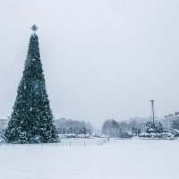 Снежный декабрь. :: Игорь Чичиль