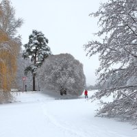 Вышел Лыжник из тумана... :: Александр Сергеевич 