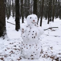Может, Снеговик растаял! :: Валентина  Нефёдова 