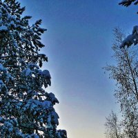 Утро декабря...Морозный свет над городом! :: Владимир 