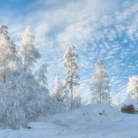 Морозная зима :: Vladimbormotov 