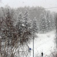 Снежная стихия в середине ноября . :: Мила Бовкун
