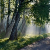 В утреннем свете..... :: Юрий Цыплятников