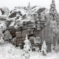 Зимний дракоша :: Евгений Тарасов 